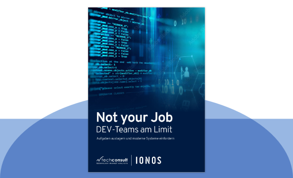 Not your Job: Dev-Teams am Limit