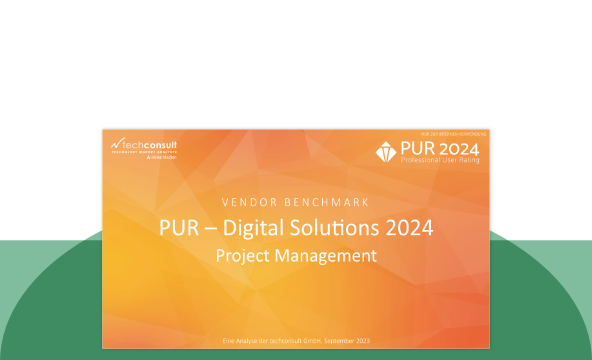 PUT – Digital Solutions 2024: Project Management